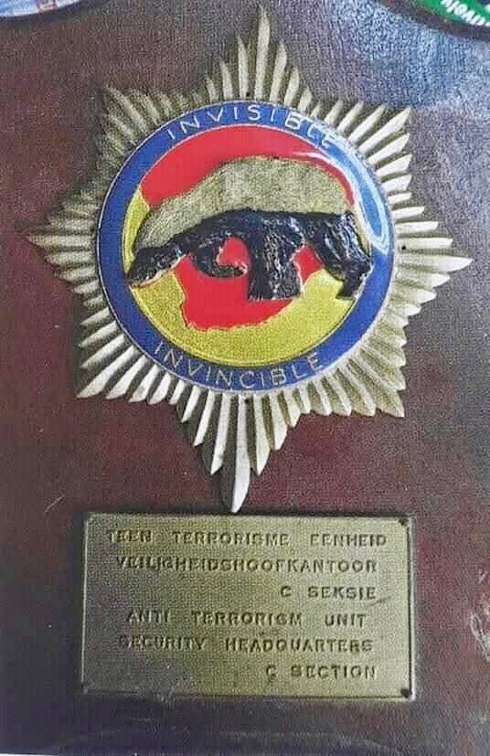 South Africa Police (SAP) Anti Terrorist Unit Security HQ C - Section Parachute Wings - Bateleur Militaria