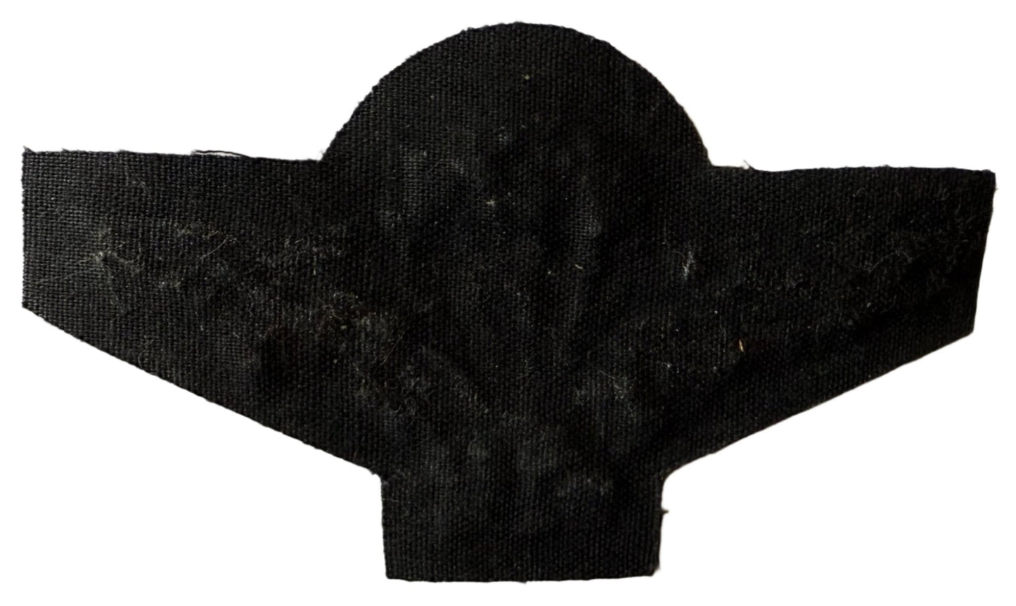 Botswana Defense Force Parachute Wings BDF on Silver Wire Embroidered Variation 3 - Bateleur Militaria