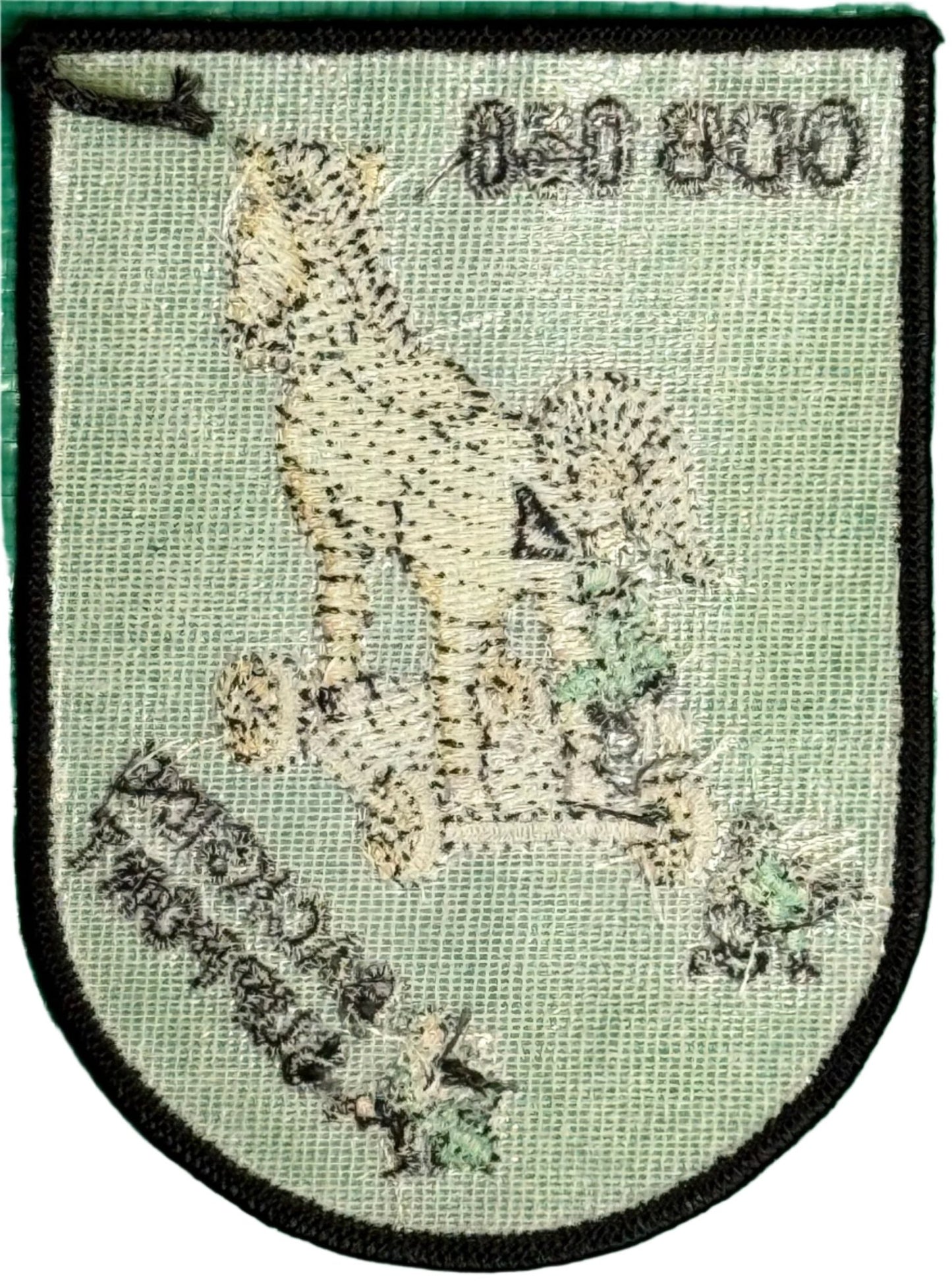 US Army 10 Special Forces Group (SFG) ODB 050 Patch - Bateleur Militaria