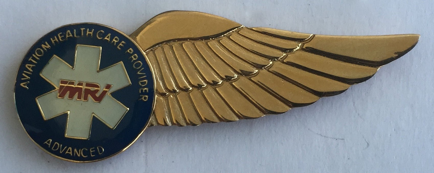 South Africa Aviation Healthcare Provider Advance Half Wing - Bateleur Militaria