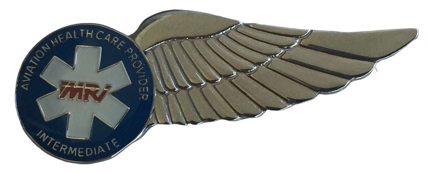 South Africa Aviation Healthcare Provider Intermediate Half Wing - Bateleur Militaria