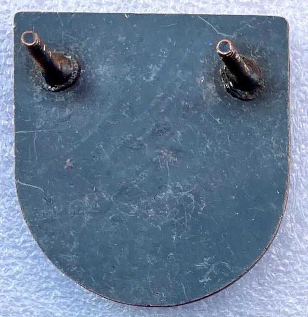 Ciskei Defense Force Beret Badge Other Ranks