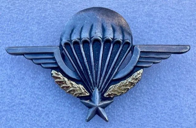 France Parachute Wings