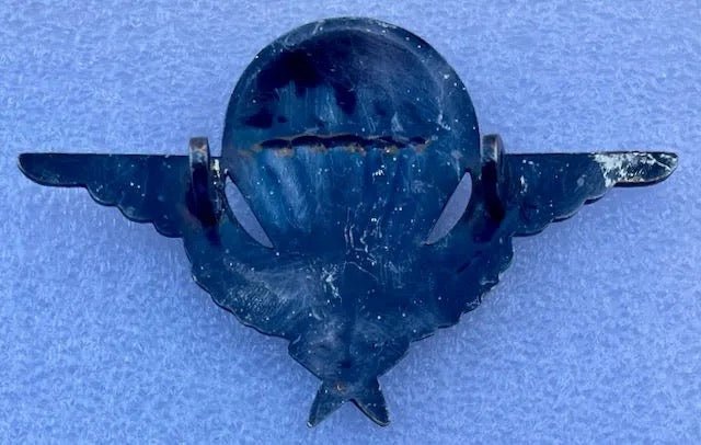 France Parachute Wings