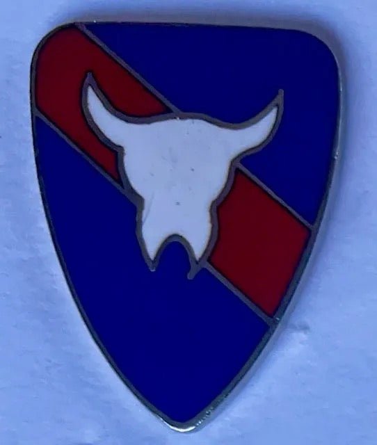 US Army 163rd RCT Pin