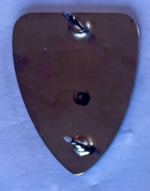 US Army 163rd RCT Pin