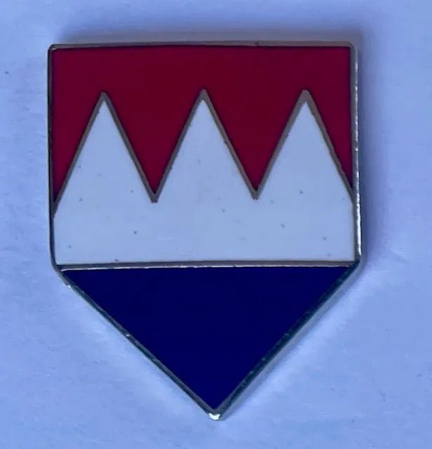 US Army 157th RCT Pin