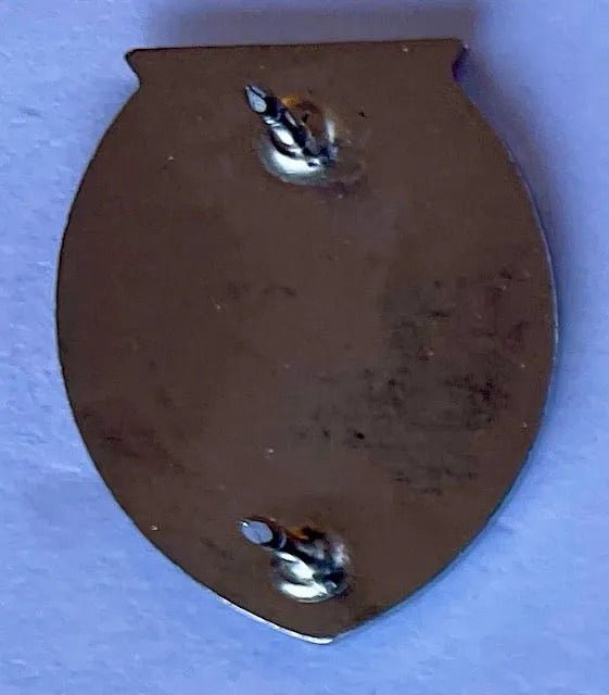 US Army 107th RCT Pin - Bateleur Militaria