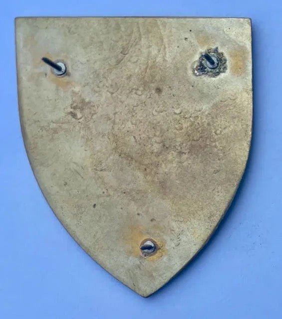 South Africa (SADF) 2 Parachute Battalion Shoulder Flash L - Bateleur Militaria