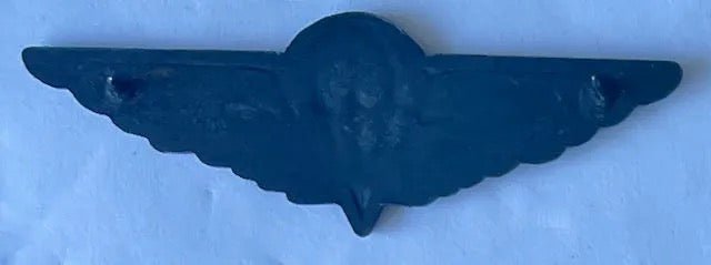 Ciskei Army Free Fall Parachute Wings All Ranks 1st Issue