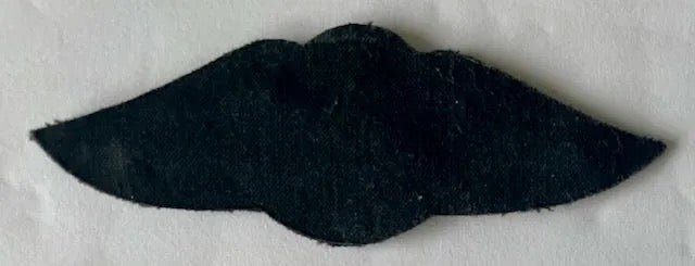 South Africa (SADF) Navy Instructor Parachute Wings Winter Dress