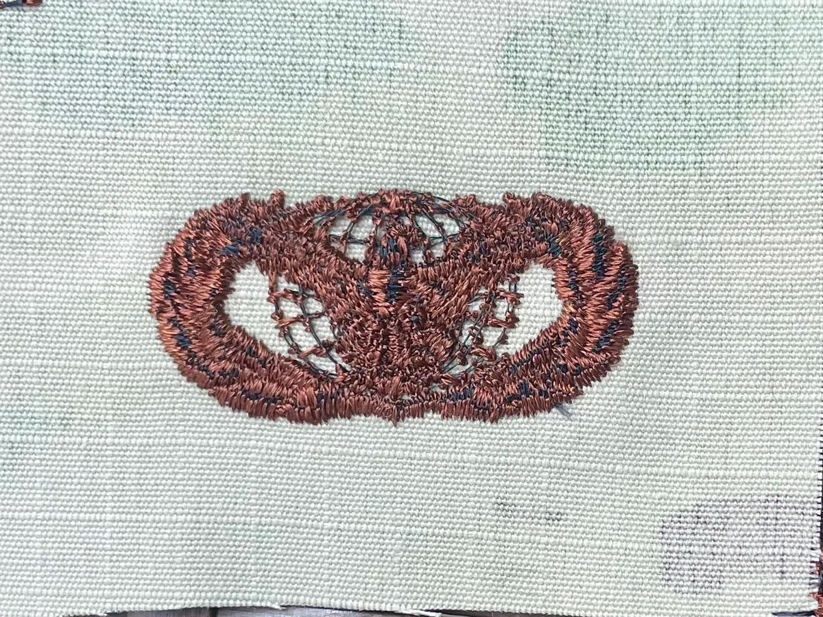 US Air Force Basic Force Protection Breast Badge OCP
