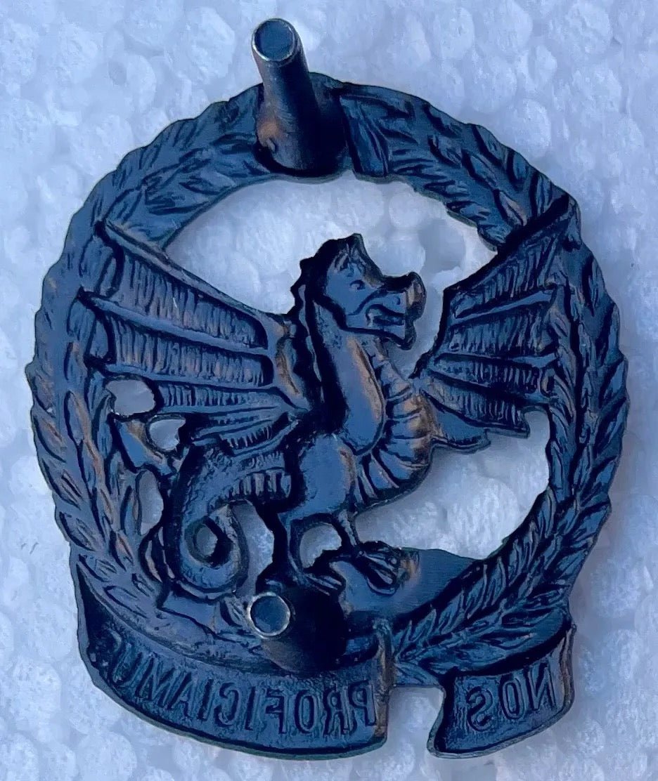 South Africa (SADF) 73 Motorized Brigade Beret Badge - Bateleur Militaria