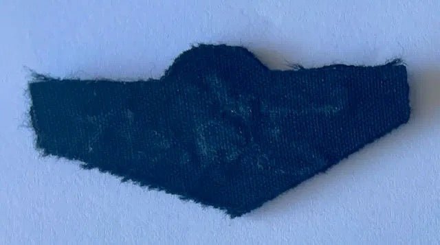 South Africa Police Special Task Force Parachute Wings Mess Dress 1 - Bateleur Militaria