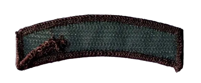 US Air Force Air Advisor Tab OCP with Velcro - Bateleur Militaria