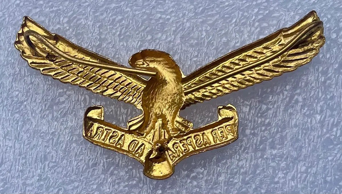 South Africa (SAAF) Enlisted Cap Badge - Bateleur Militaria