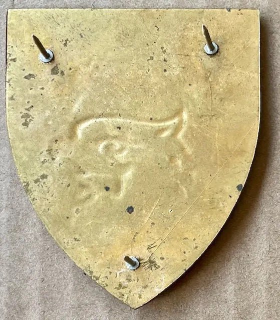 South Africa (SADF) 44 Parachute Brigade 2 Parachute Bn Arm Flash R