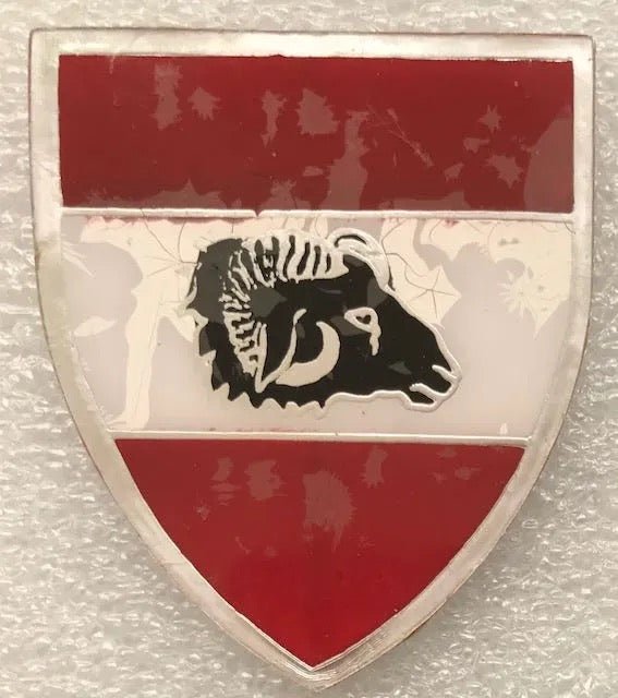 South Africa (SADF) Bo - Nossob Commando Flash Arm Badge (1st Issue) - Bateleur Militaria