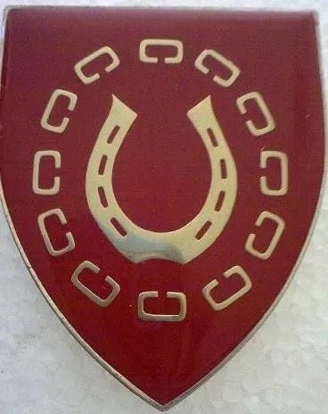 South Africa (SADF) Hercules Commando Flash Arm Badge - Bateleur Militaria