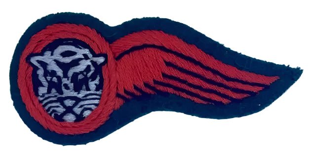 Bophuthatswana Air Force Navigator Wings Embroidered - Bateleur Militaria