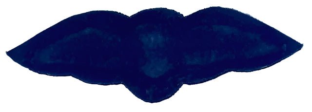 Bophuthatswana Air Force pilot wings Embroidered - Bateleur Militaria