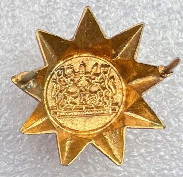 South Africa (Homeland) Officer 9 - Point Star Rank Insignia Gilt Full Size - Bateleur Militaria