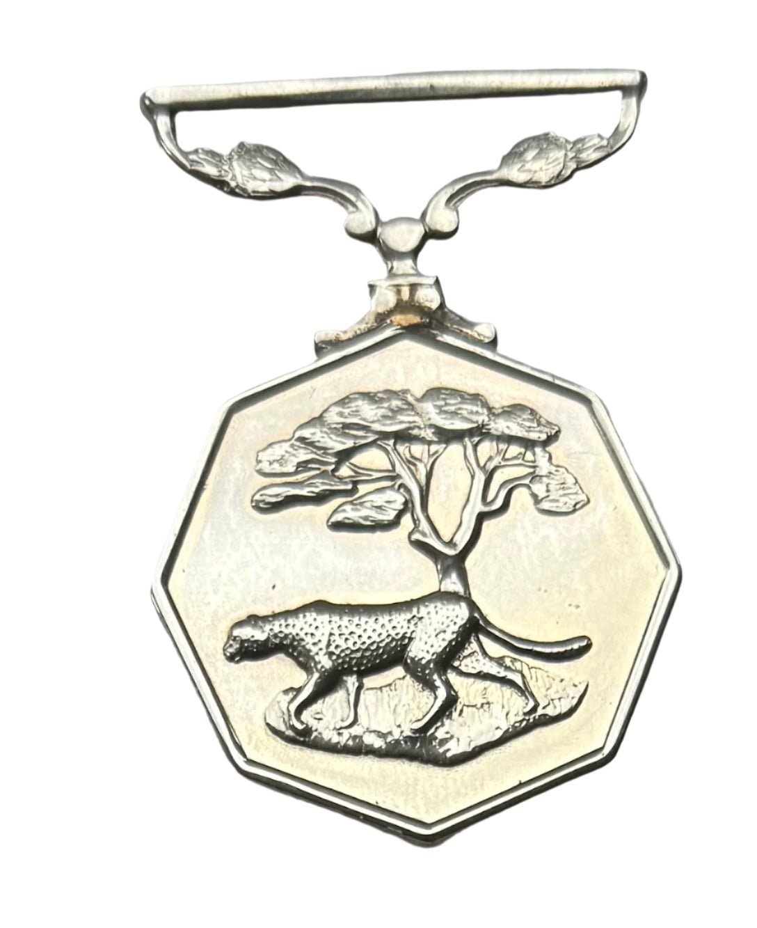 South Africa (SADF) Southern Africa Medal Full Size Numbered #2