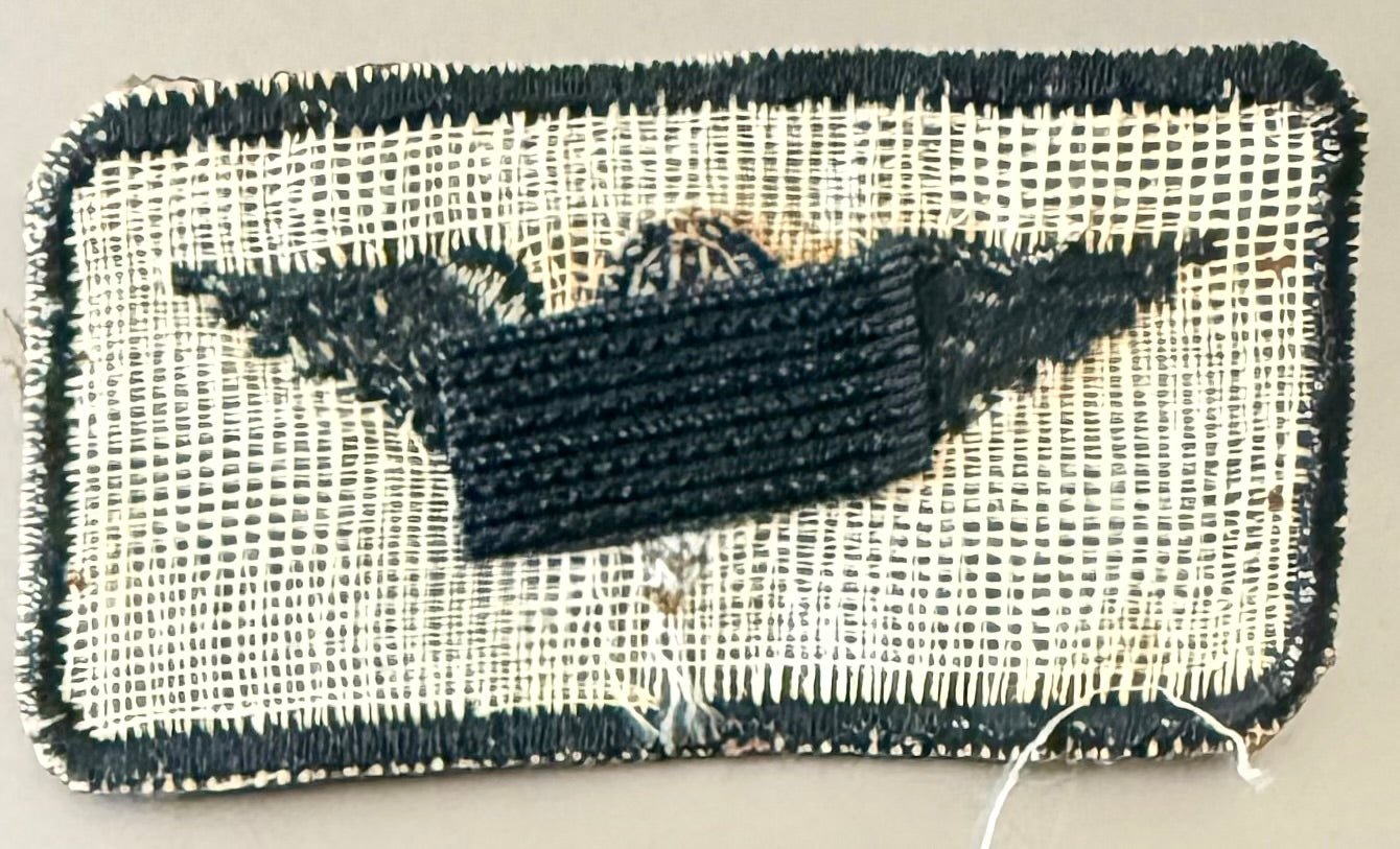 South West Africa (SWATF) Parachute Jump Wings Brown Chute Lines Only Variant - Bateleur Militaria