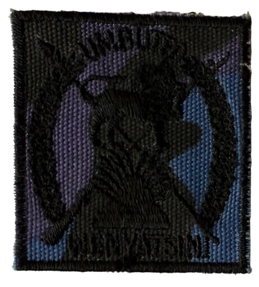 Swaziland Defense Force Breast Badge on Blue Camo - Bateleur Militaria