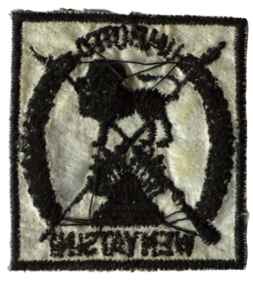 Swaziland Defense Force Breast Badge on Blue Camo - Bateleur Militaria