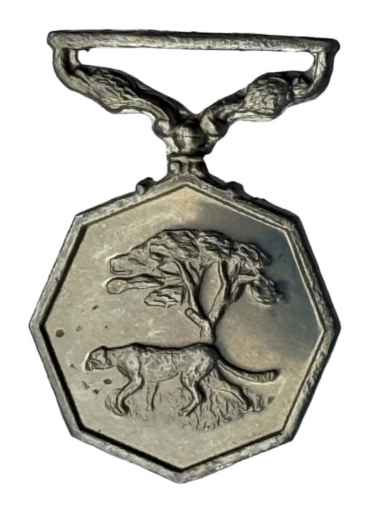 South Africa (SADF) Southern Africa Medal MMD (109)
