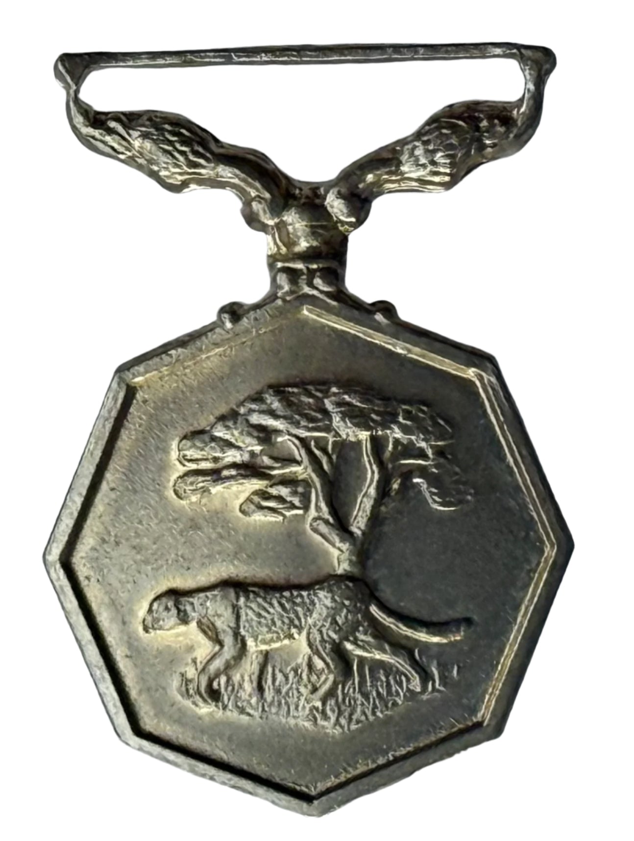 South Africa (SADF) Southern Africa Medal MMD (59) - Bateleur Militaria