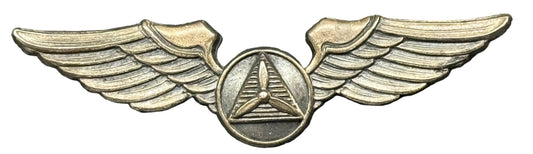USAF US Air Force Civil Air Patrol Pilot Wings 3" Hallmarked & Silver Filled - Bateleur Militaria