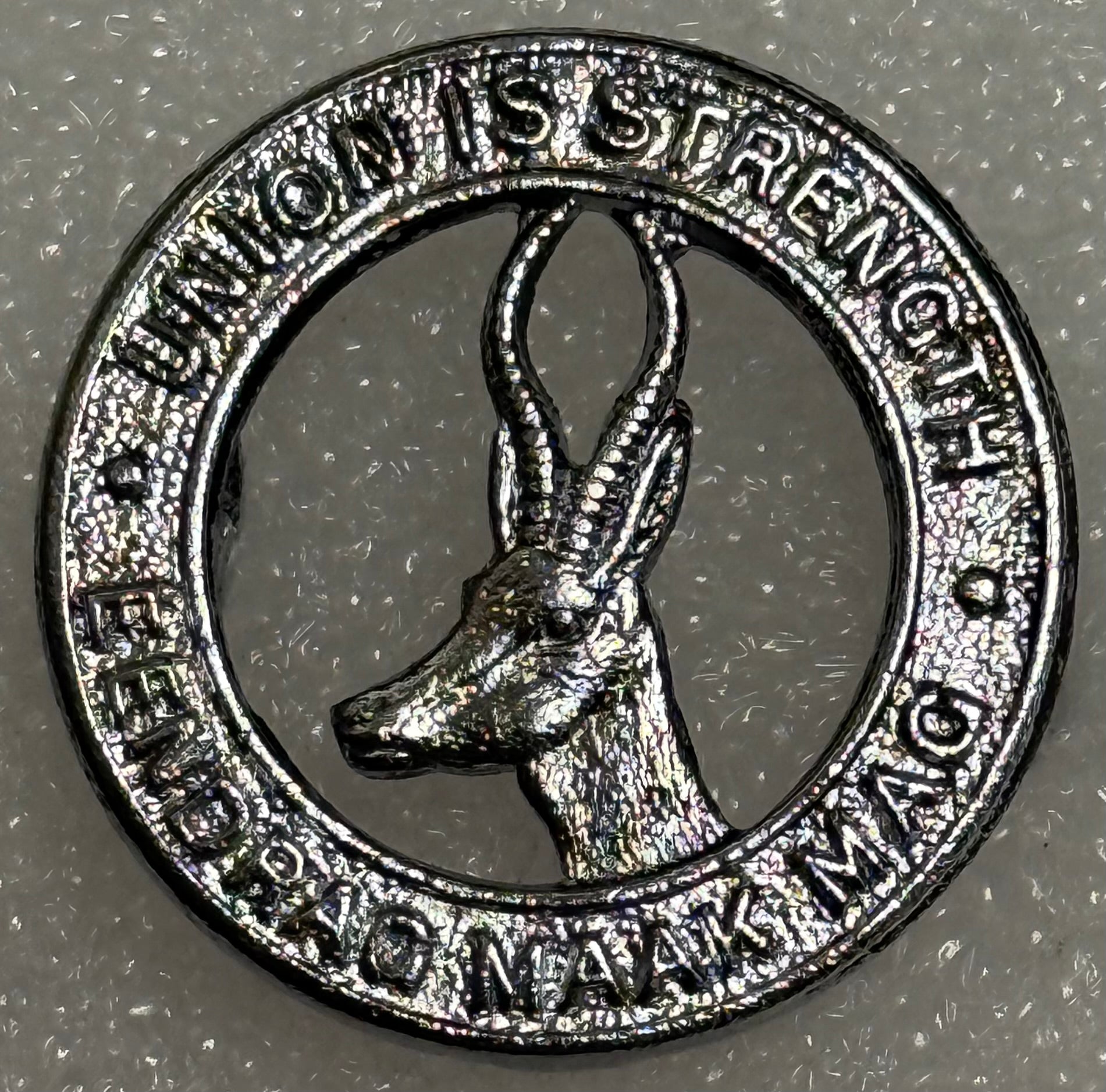 South Africa (UDF) General Service Corps Cap Badge 1940's Chrome 25mm - Bateleur Militaria