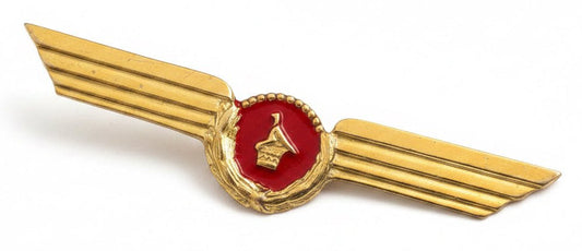 Air Zimbabwe Pilot Wings - Bateleur Militaria