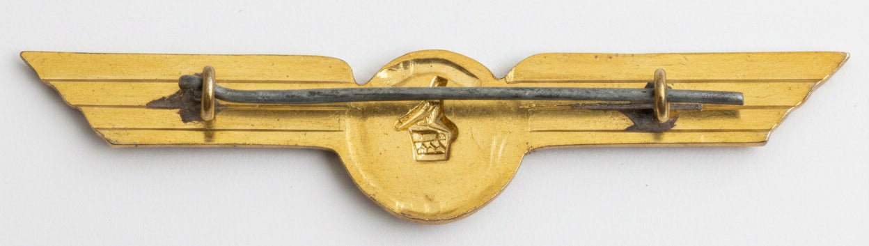 Air Zimbabwe Pilot Wings - Bateleur Militaria
