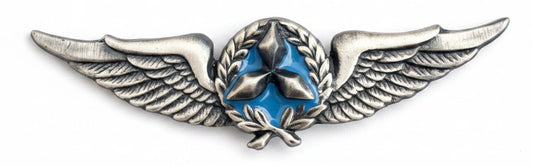 South West Africa (SWATF) Pilot Wings Full Size - Bateleur Militaria
