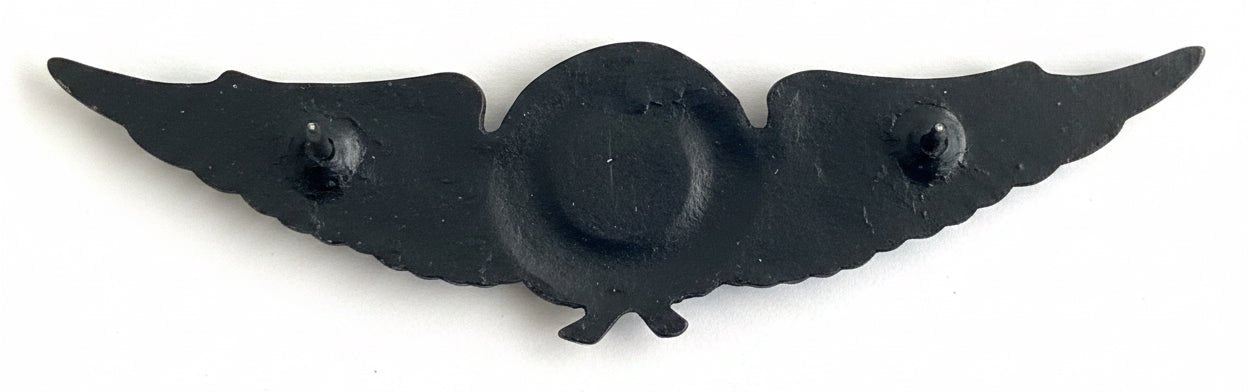 South West Africa (SWATF) Pilot Wings Full Size - Bateleur Militaria