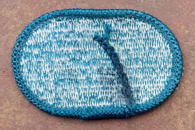 US 19th Special Forces Group Oval Merrowed Edge