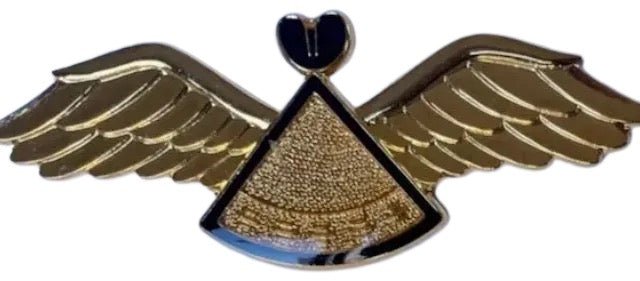 Lesotho Defence Force (LDF) Air Wing Basic Pilot Wings Black Border