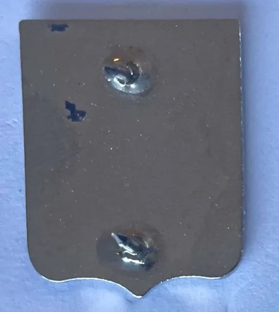 US Army 196th RCT Pin