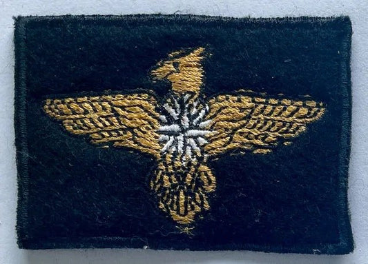 South Africa (SADF) 45 Parachute Brigade Prototype Badge - Bateleur Militaria