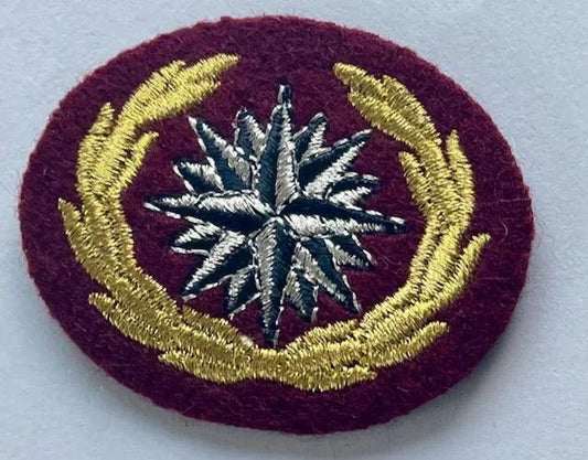 South Africa (SADF ) Reconnaissance Commando Recce Beret Badge 4 - Bateleur Militaria