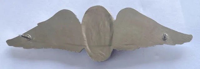 South Africa (SADF) Free Fall Parachute Instructor Wings - Bateleur Militaria