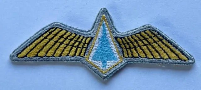 South Africa Fantasy Pilot Wing - Bateleur Militaria