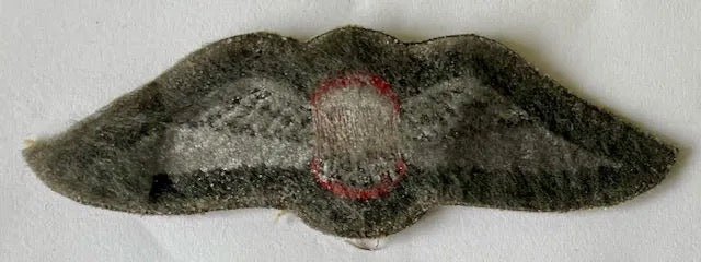 South Africa (SADF) Free Fall Parachute Wings Variant - Bateleur Militaria