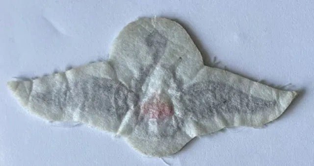 South Africa Boy Scout Parachute Wings - Bateleur Militaria