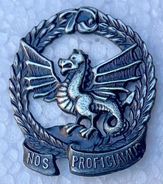 South Africa (SADF) 73 Motorized Brigade Beret Badge - Bateleur Militaria