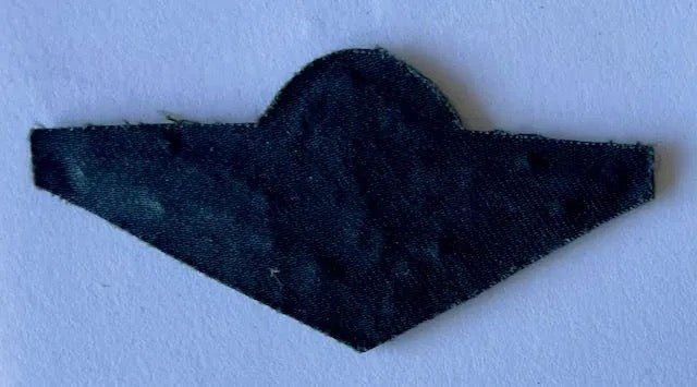 South Africa Police Special Task Force Parachute Wings on Felt Variation - Bateleur Militaria