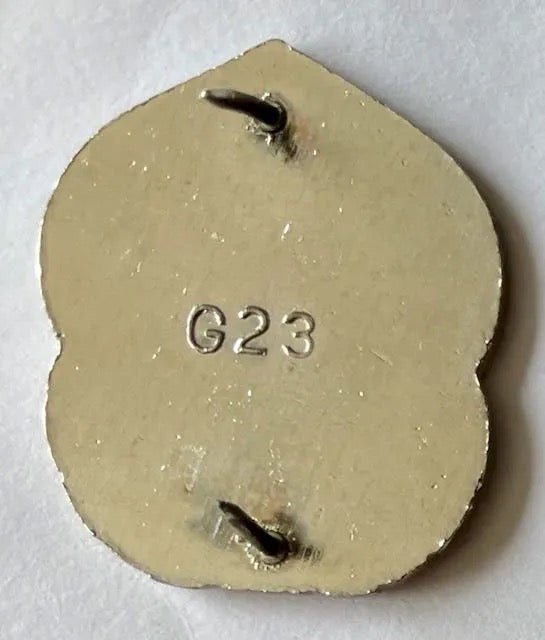 US Army Medical Dept Activity (MEDDAC) Fort Benning Crest DUI